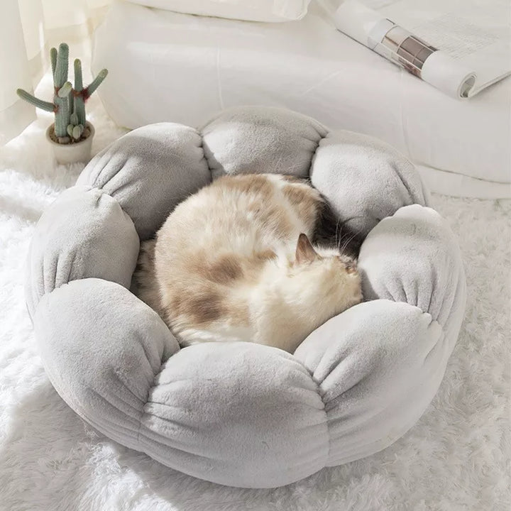 BBT0109-Pet-Beds-Media03