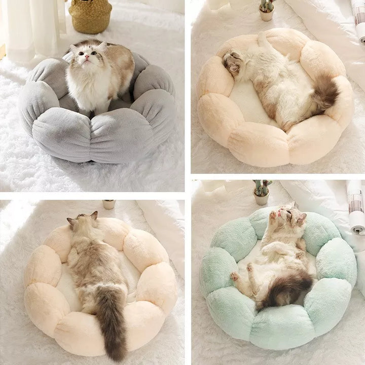 BBT0109-Pet-Beds-Media05